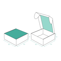 S1-S1