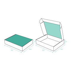 S1-S1